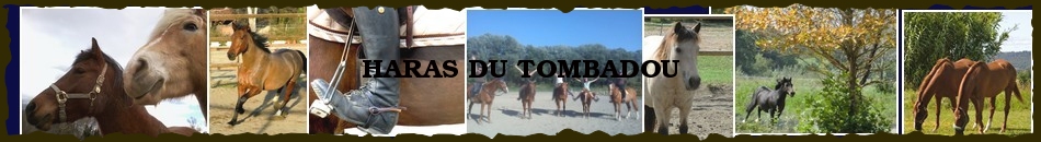 HARAS DU TOMBADOU